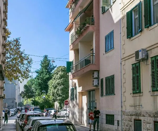 With Wifi - 21804 * スプリト